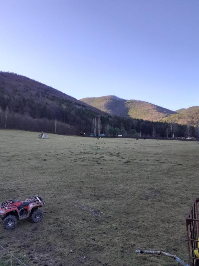 Pensiune Pensiunea Natura Sadu Sibiu