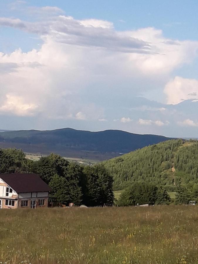 Pensiune Pensiunea Natura Sadu *