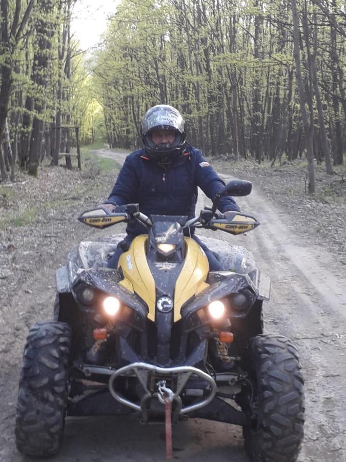 Pensiune Pensiunea Natura Sadu Sibiu
