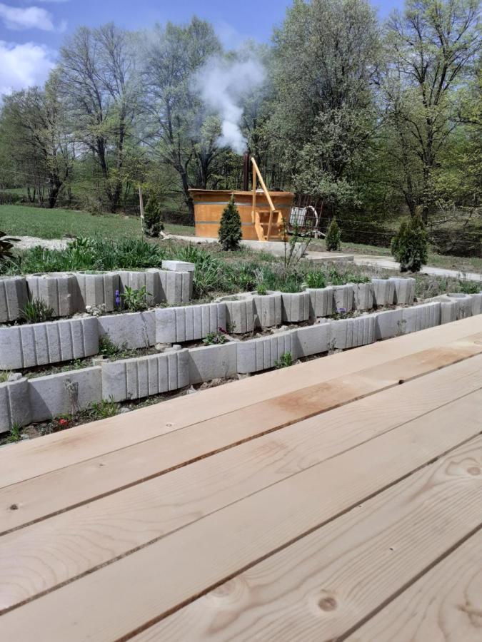 Pensiunea Natura Sadu *